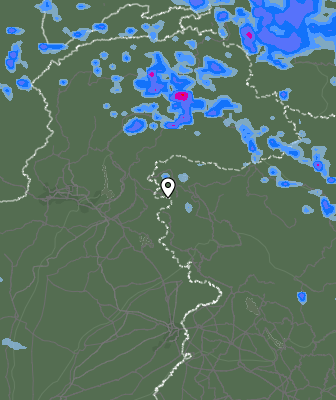 Валежи