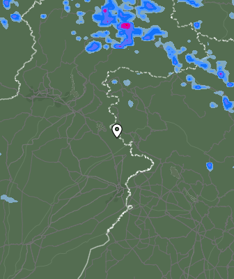 Валежи
