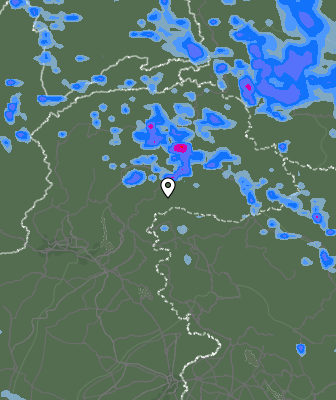 Валежи