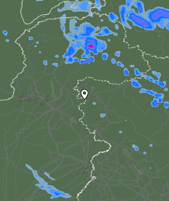 Валежи