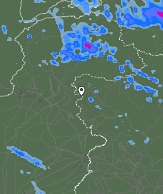 Валежи
