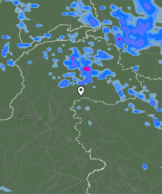 Валежи
