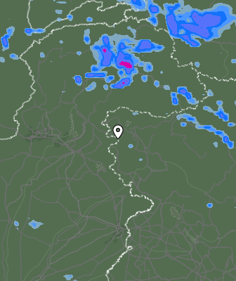 Валежи
