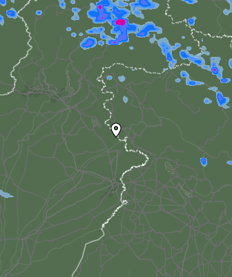 Валежи