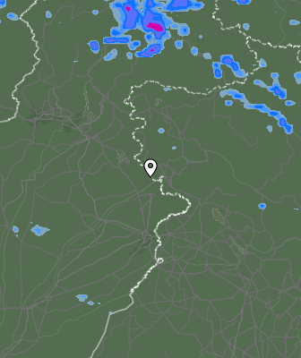 Валежи