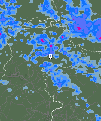 Валежи