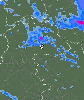 Валежи