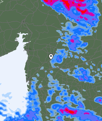 Precipitazioni