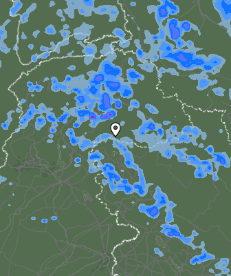 Валежи