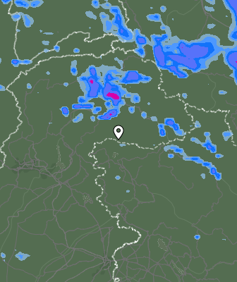 Валежи
