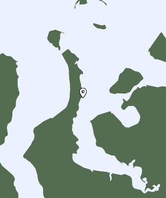 Niederschlagsprognose