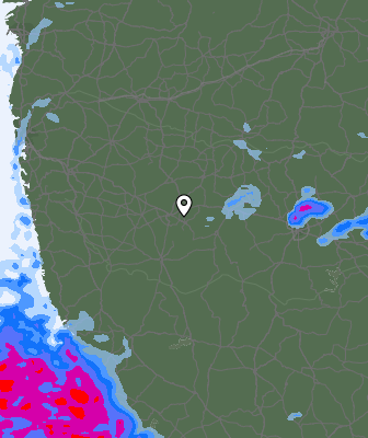 Precipitazioni