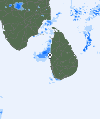 Niederschlagsprognose
