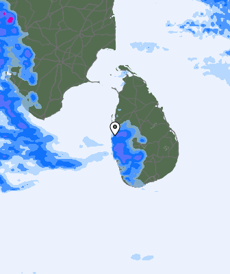 Niederschlagsprognose