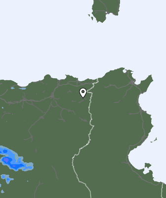 Валежи