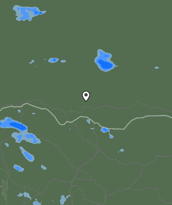 Валежи