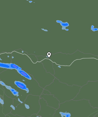 Валежи