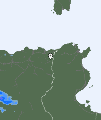 Валежи