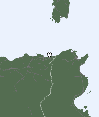 Niederschlagsprognose
