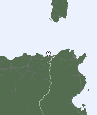 Niederschlagsprognose