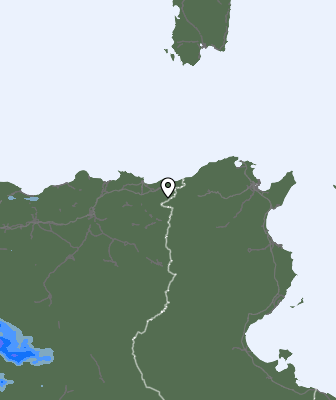 Валежи