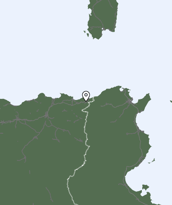 Niederschlagsprognose