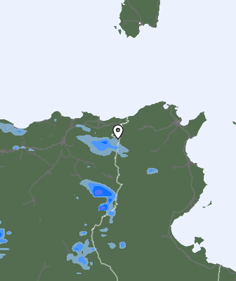 Валежи