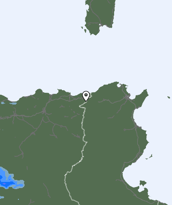 Валежи