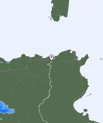 Валежи