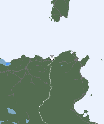 Валежи