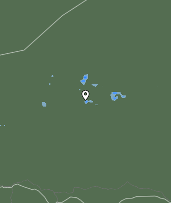 Валежи