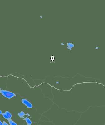 Валежи