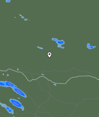 Валежи