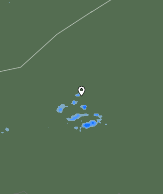Валежи