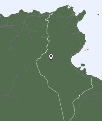 Niederschlagsprognose