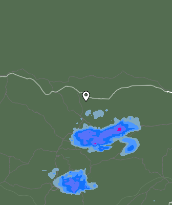 Валежи