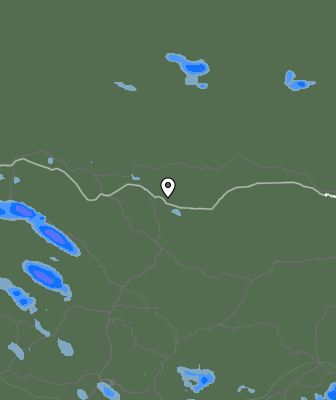 Валежи