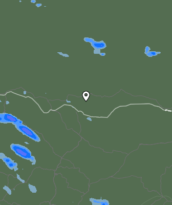 Валежи
