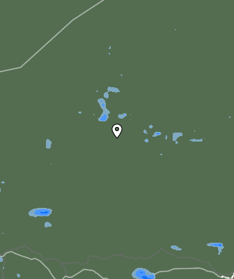 Валежи