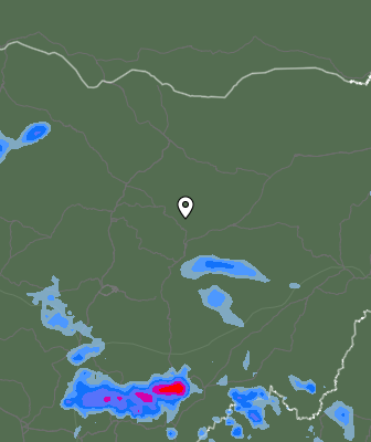 Niederschlagsprognose