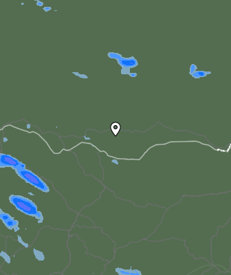 Валежи