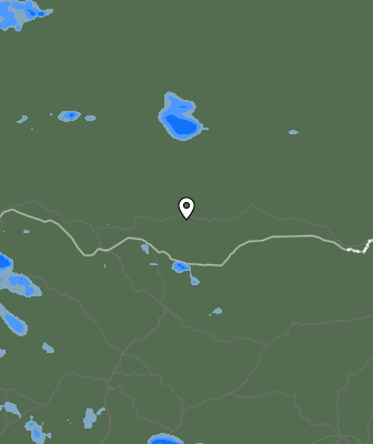 Валежи