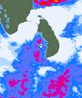 Niederschlagsprognose