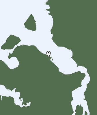 Niederschlagsprognose