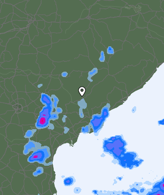 Precipitazioni