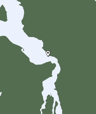 Neerslag