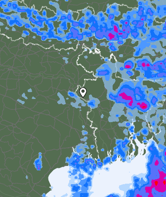 Niederschlagsprognose