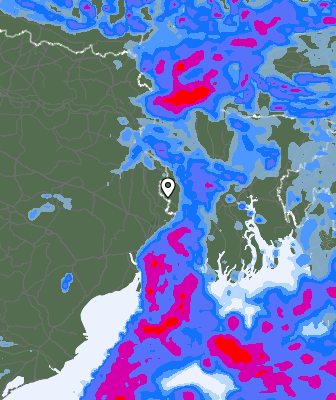 Precipitazioni