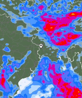 Precipitazioni