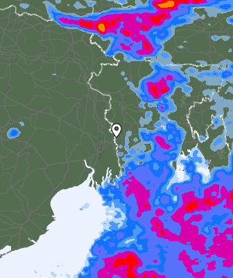 Precipitazioni